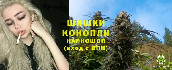 мдпв Лабытнанги